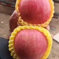 山東紅富士蘋果批發 條紋 全紅果 產地批發全國代發