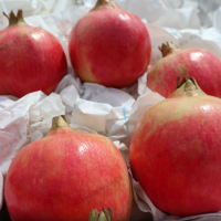 突尼斯軟籽石榴河南靈寶市無籽甜石榴 籽軟純甜